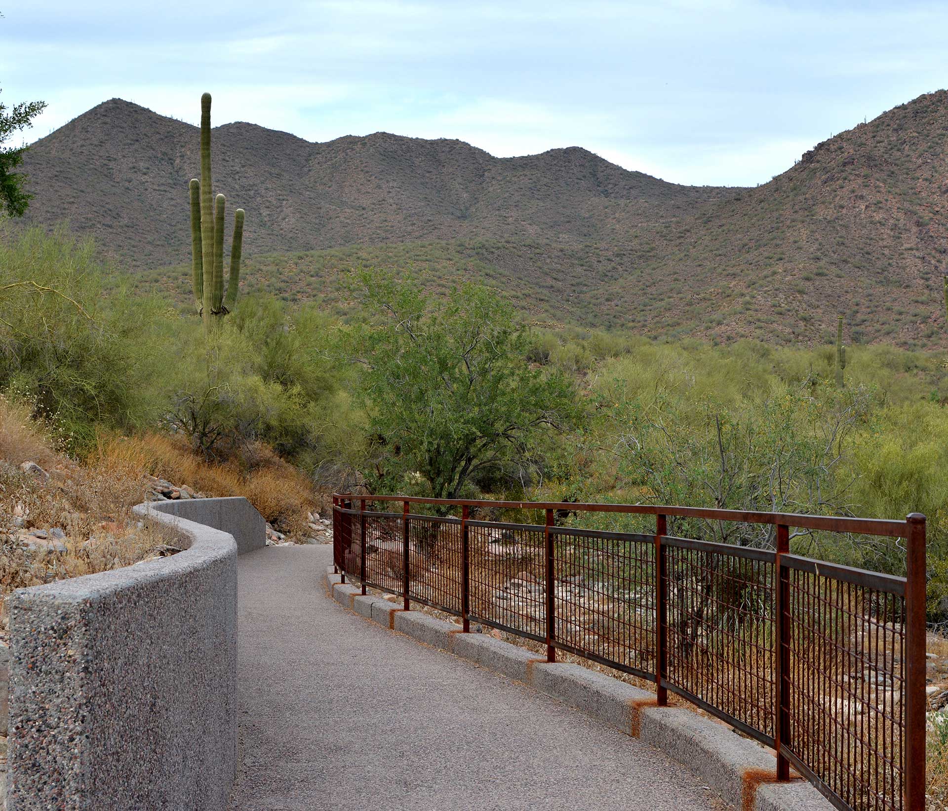 Lost Dog Trailhead | Valley Rain Construction